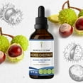 thumbnail image 1 of Secrets Of The Tribe Horse Chestnut Tincture Dietary Supplement, Natural Herbal Extract for Circulatory Support, Horse Chestnut (Aesculus hippocastanum) Dried Nut, Alcohol-Free Extract, Drops 4 oz, 1 of 6