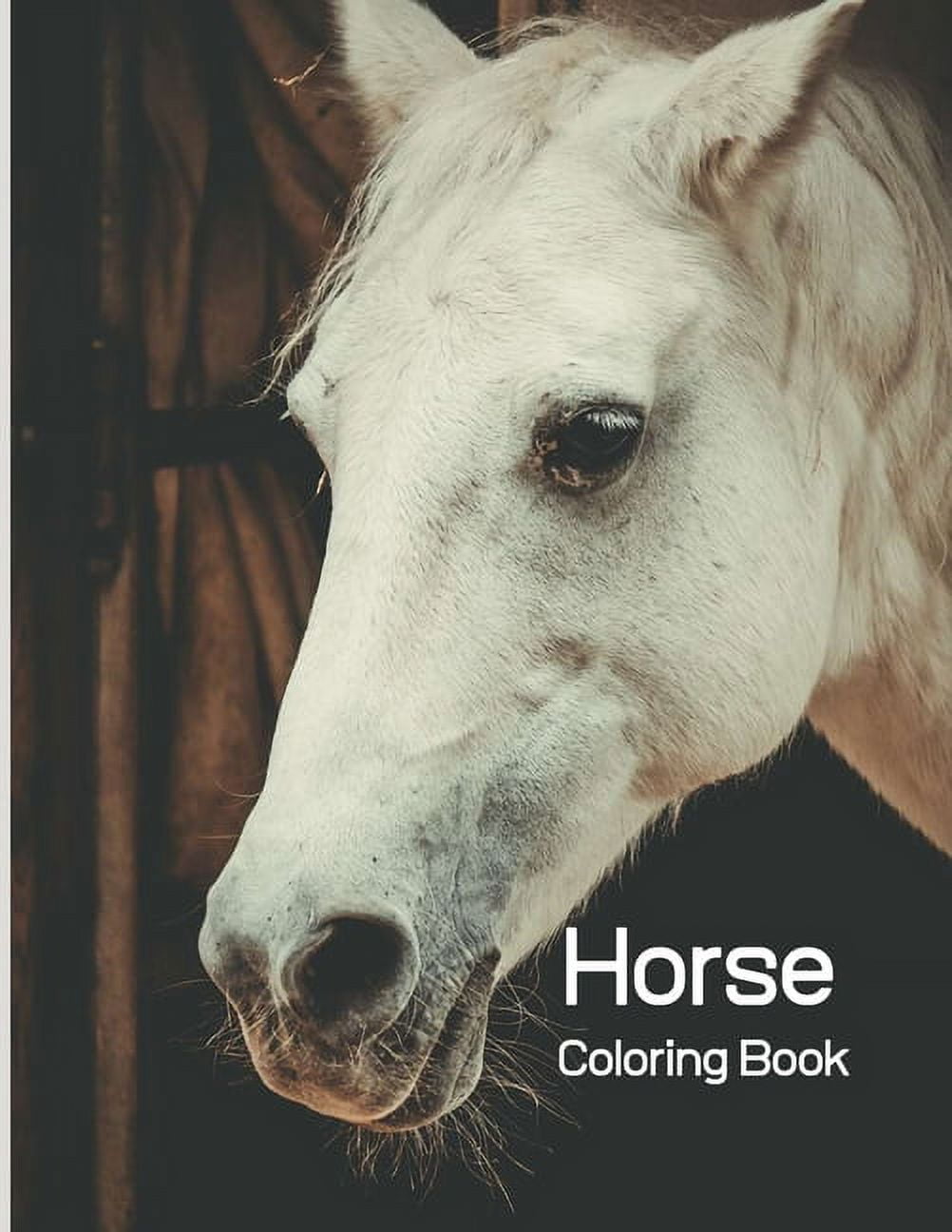 Horse Coloring Book: Coloring Toy Gifts for Toddlers, Kids Ages 4-8, Girls  4-8 8-12 or Adult Relaxation - Cute Easy and Relaxing Realistic (Paperback)