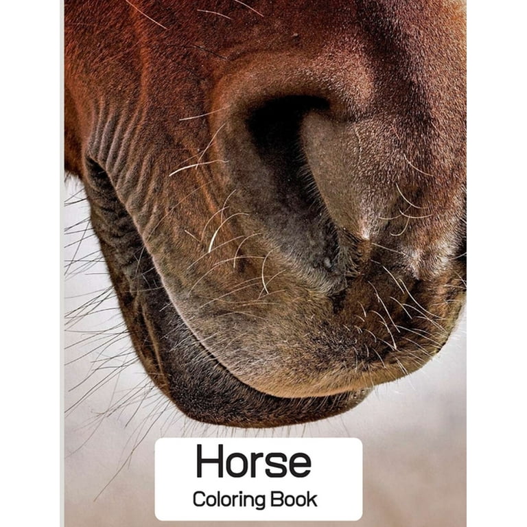 Horse Coloring Book Coloring Toy Gifts for Toddlers Kids Ages 4