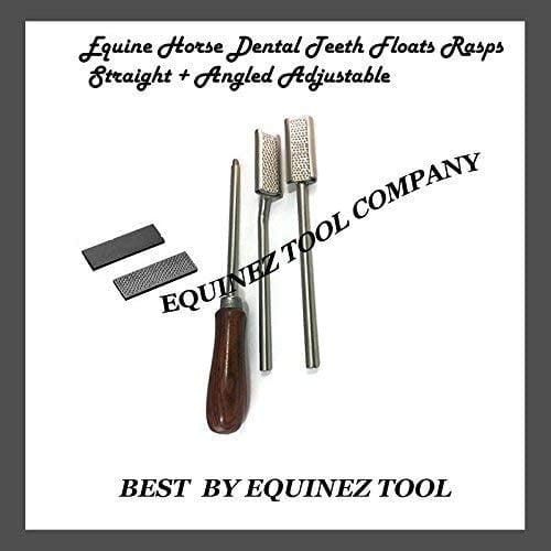 Horse Dental Floats RASPS Wooden Handle Straight & Curved Equine Dental ...