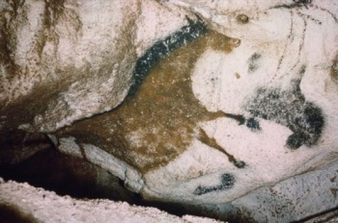 Horse - Depth of Axial Corridor Prehistoric Art France Lascaux Caves Canvas Art - (24 x 36)