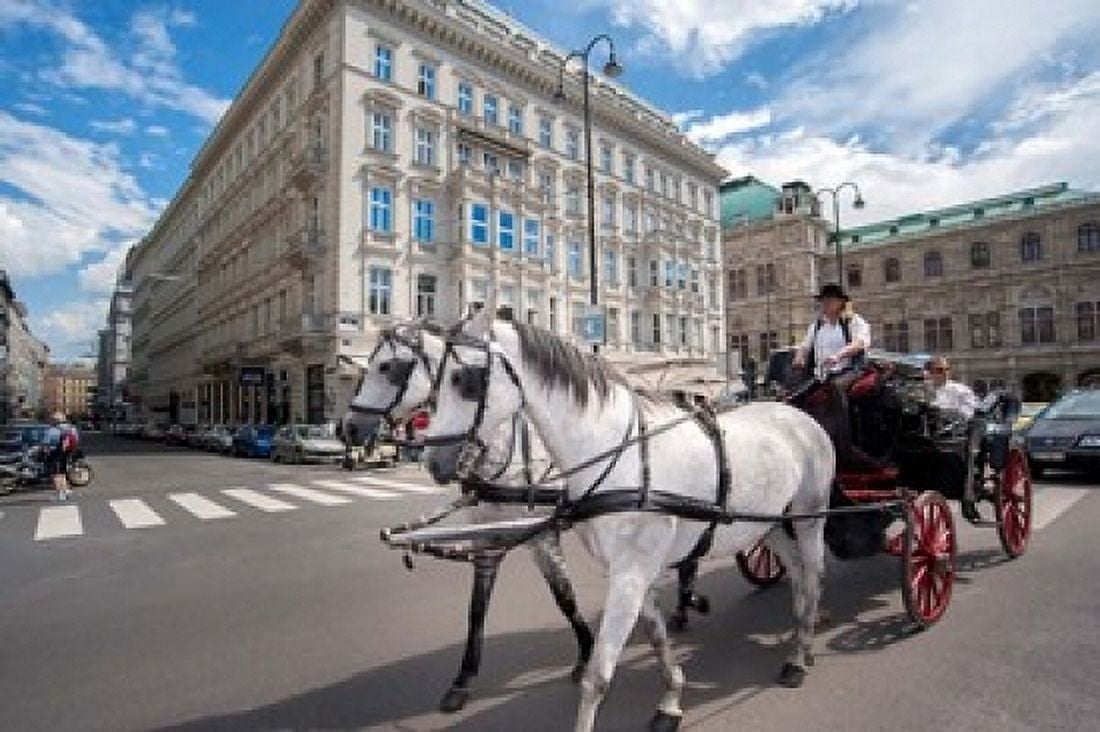 Horse Drawn Carriage in Vienna Canvas Art - Jim Engelbrecht DanitaDelimont (36 x 24)