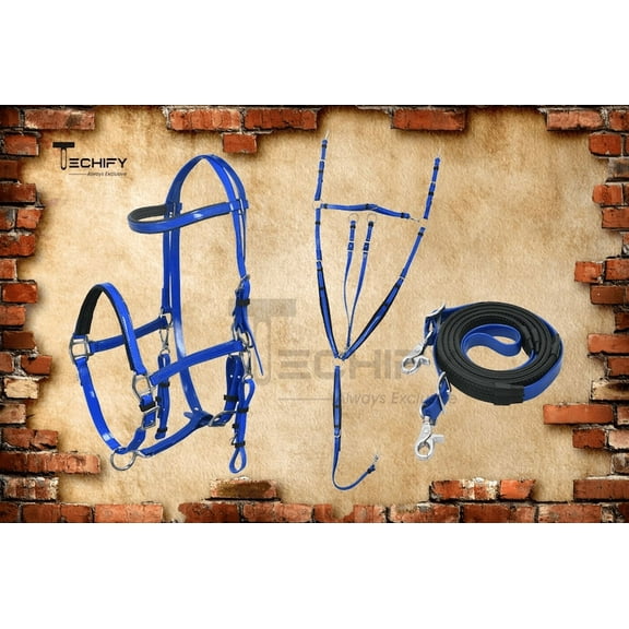 Horse Endurance Halter Bridle Reins W Breast Plate Sky Blue Set Equestrian Tack Bridled Free Custom Name Plate