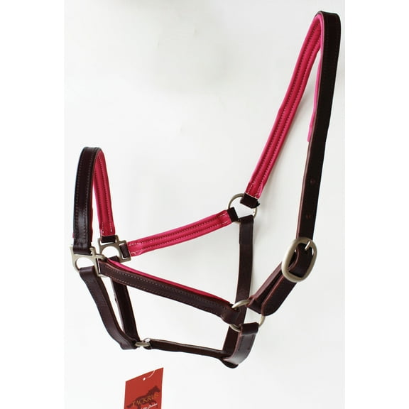 Horse English Padded Leather COB Western Show Halter Pink 803H209PKC