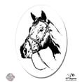 thumbnail image 1 of Horse Equestrian - 5" Vinyl Sticker - For Car Laptop I-Pad - Waterproof Decal, 1 of 1