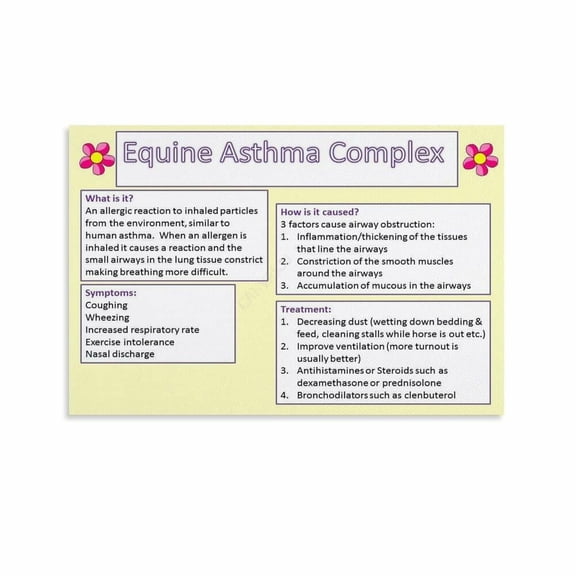 Horse Equine Asthma Poster Veterinary Clinic (3) Canvas Painting for Living Room Bedroom Decor