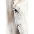 thumbnail image 1 of "Horse Eye" Painting Print on Wrapped Canvas, 1 of 5