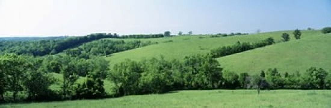 Horse Farm Kentucky USA Canvas Art - Panoramic Images (18 x 6)