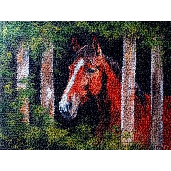 Horse in Fence Latch Hook Kits Rug DIY Cushion Tapestry Making Crochet Hook Mat Making Kits Color Preprinted Pattern Canvas DIY Carpet Needlework Crochet Kits 52x38cm (series-64)