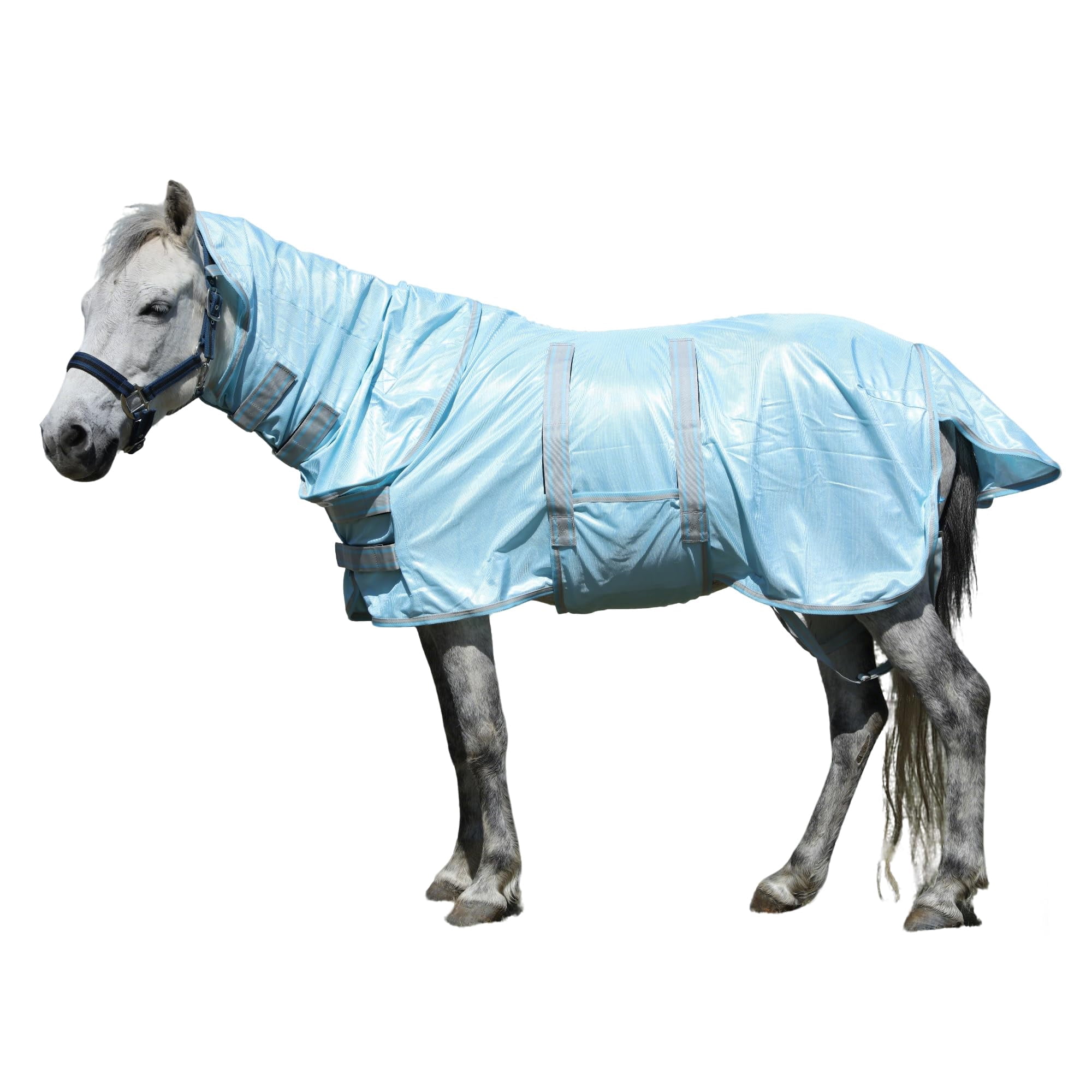 Horse Fly Sheet for Mini Horse Pony Foal Weanling Yearling Donkey Cyan ...