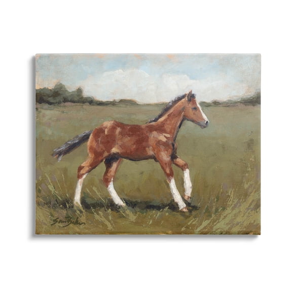 Horse Foal Galloping Countryside Animals & Insects Painting Gallery Wrapped Canvas Print Wall Art