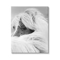thumbnail image 1 of Horse Gazing Windblown Mane Animals & Insects Photograph Gallery Wrapped Canvas Print Wall Art, 1 of 7