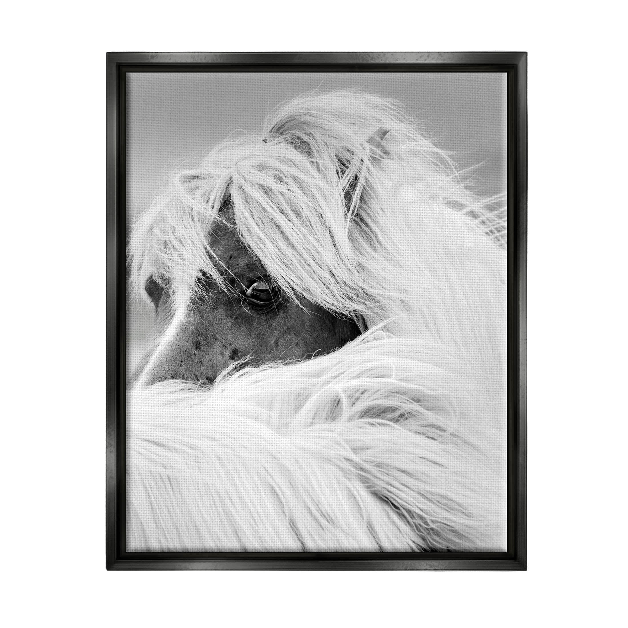 Horse Gazing Windblown Mane Animals & Insects Photograph Jet Black Framed Art Print Wall Art