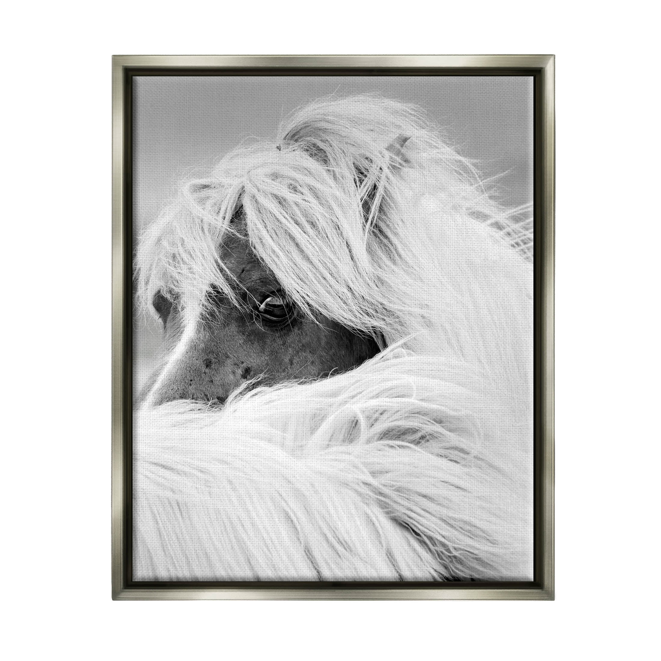 Horse Gazing Windblown Mane Animals & Insects Photograph Luster Gray Framed Art Print Wall Art