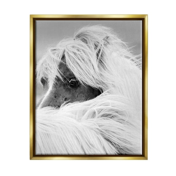Horse Gazing Windblown Mane Animals & Insects Photograph Metallic Gold Framed Art Print Wall Art