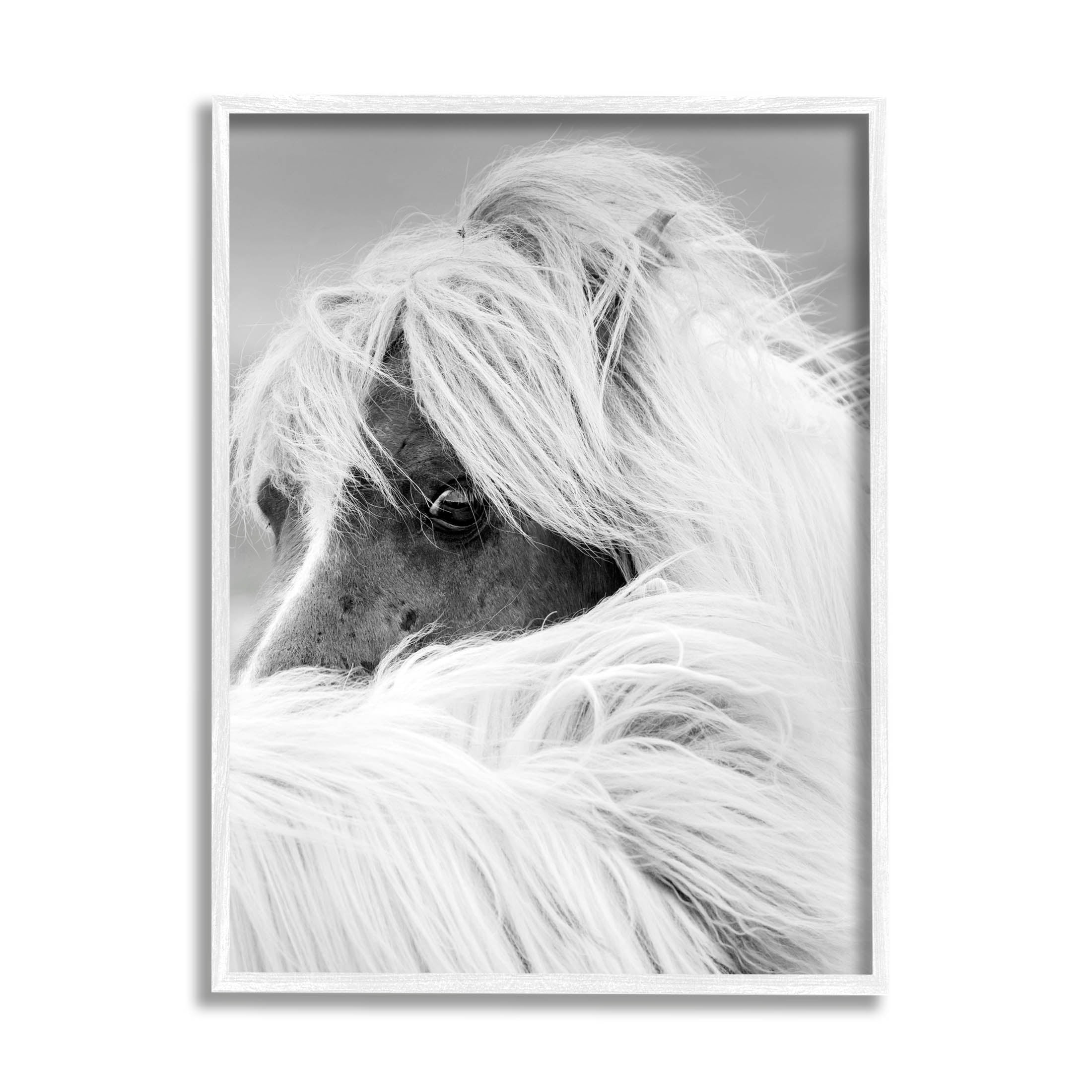 Horse Gazing Windblown Mane Animals & Insects Photograph White Framed Art Print Wall Art