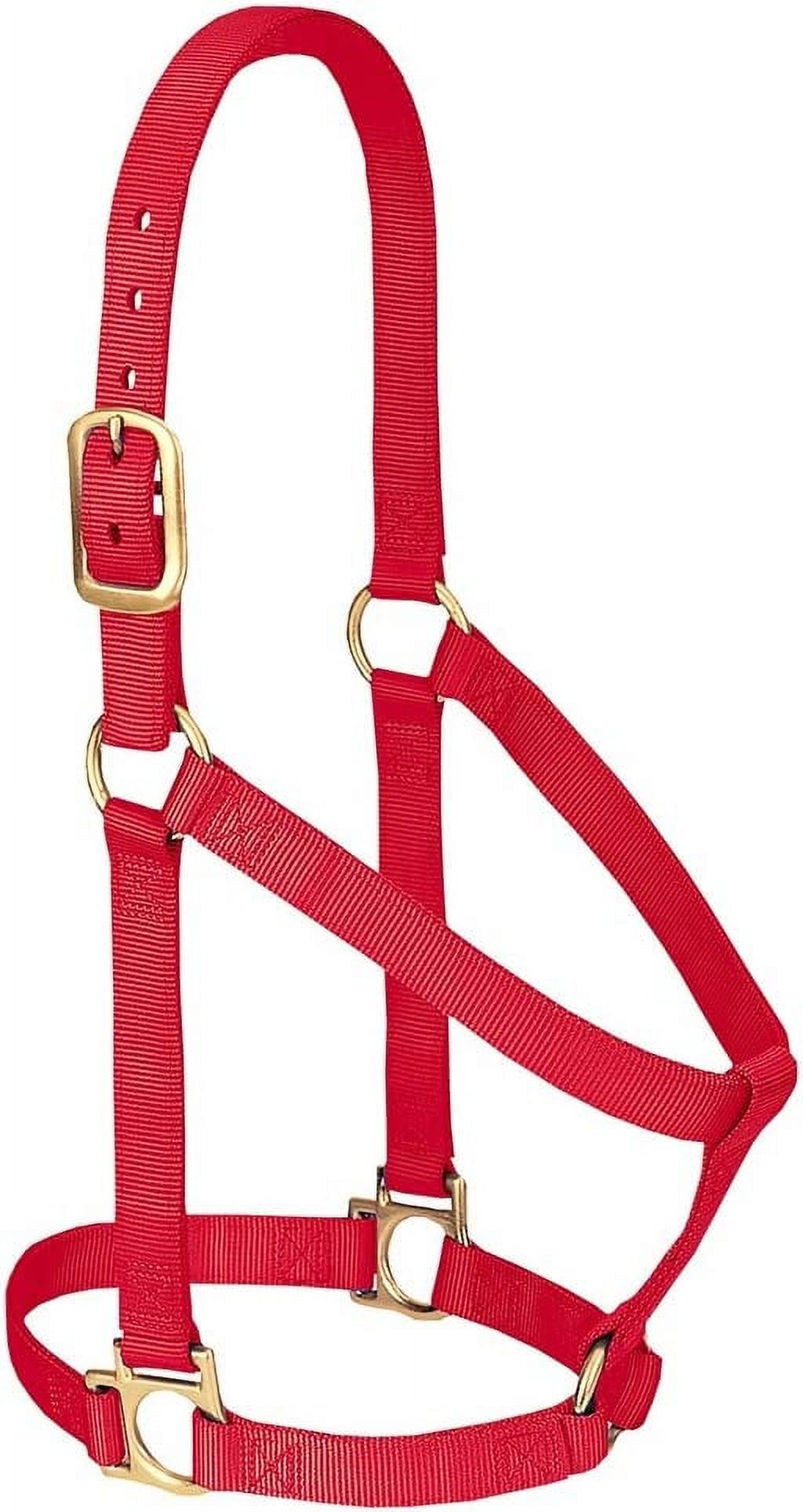 Weaver Equine Nylon Horse Halter - Double-Ply, Non-Adjustable, Average Size, Purple