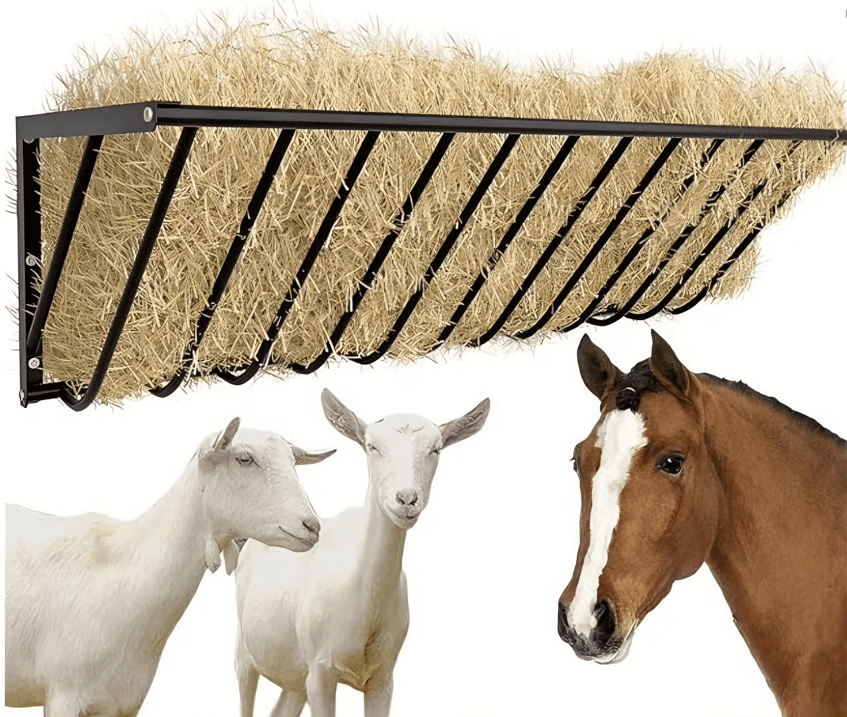 Indoorhey Rack Horse Hay Feeder, 63'' Long Livestock Feeder with 48 Gallon Large ...