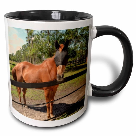 3drose, Horse in Fly Mask Equine, 11oz Two-tone Black Mug