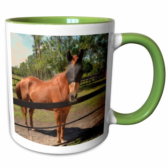 3drose, Horse in Fly Mask Equine, 11oz Two-tone Green Mug