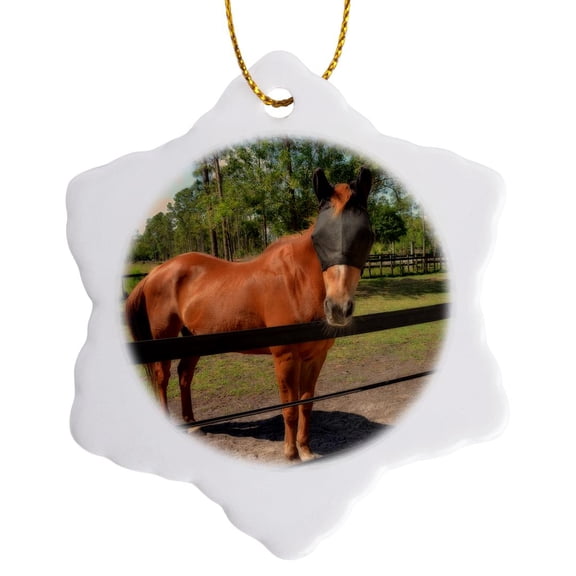 3drose, Horse in Fly Mask Equine, 3 inch Snowflake Porcelain Ornament