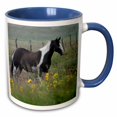 thumbnail image 1 of 3drose, Horse in Nebraska Sandhills, Sunflowers - Us26 Gha0091 - Gayle Harper, 11oz Two-tone Blue Mug, 1 of 6