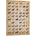 thumbnail image 1 of Horse Knowledge Horse Breeds of The World Poster Framed 12x16inch, 1 of 5