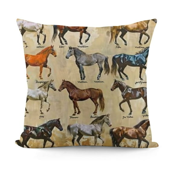 Horse Knowledge Horse Breeds of The World Poster Framed