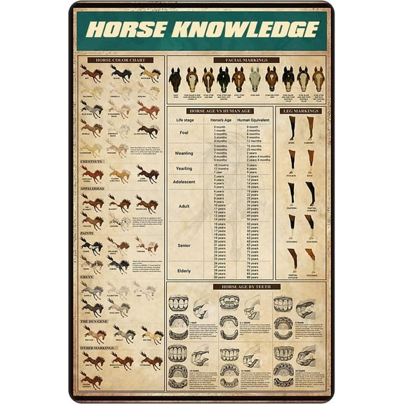 Horse Knowledge Horse Color Chart Funny Novelty Metal Sign Retro Wall Decor for room decor wall art Bar christmas decor Wall Decor 8x12 Inches