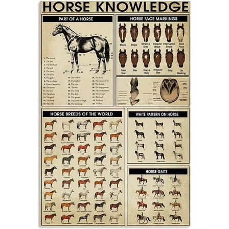 Horse Knowledge Metal Tin Sign Parts Of Horse Retro Poster Country Farm Cafe Living Room Bathroom Kitchen Home Art Wall Decoration Plaque Gift 16x12 Inch