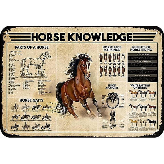 Horse Knowledge Retro Metal Tin Sign Cafe Bar Decor 8x12 Inches