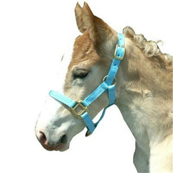 Horse & Livestock Prime 085000FB Premium Halter Chin with Snap - Light Blue, Weanling