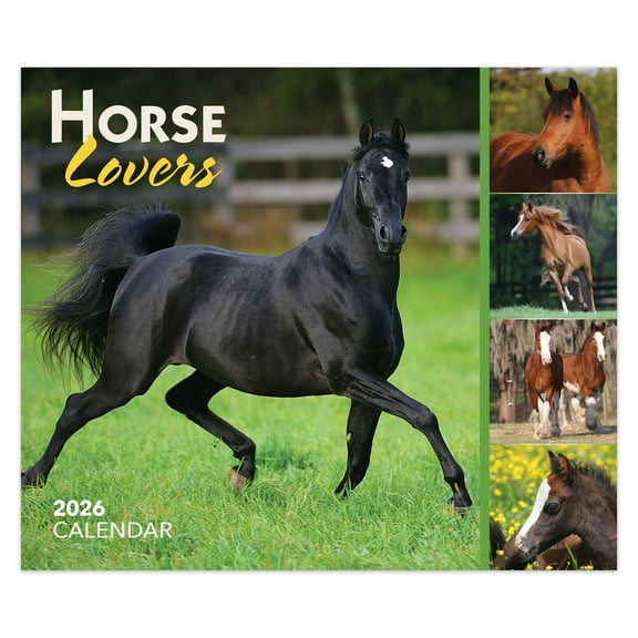 Horse Lovers | 2026 6x5" Daily Desktop Box Calendar