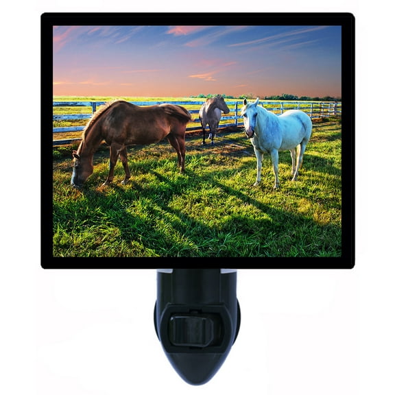 Night Light - Texas Sunset. | Horse Theme, Includes Free Switchable Insert, 4W Bulb, E12 Base