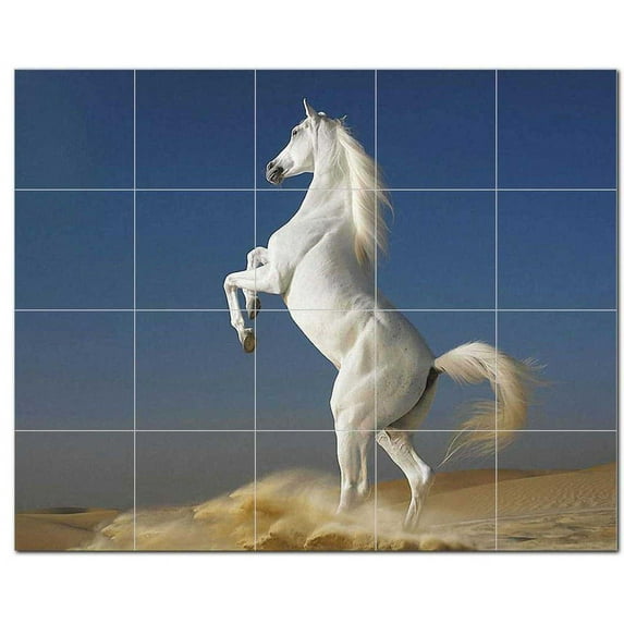 Horse Photo Ceramic Tile Mural Kitchen Backsplash Bathroom Shower, 405240-L54