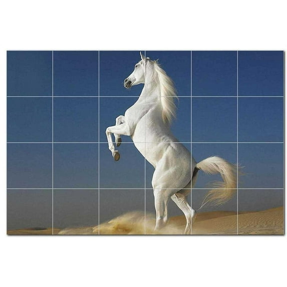 Horse Photo Ceramic Tile Mural Kitchen Backsplash Bathroom Shower, 405240-M64