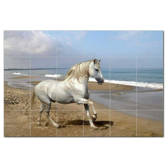 Horse Photo Ceramic Tile Mural Kitchen Backsplash Bathroom Shower, 405251-M64