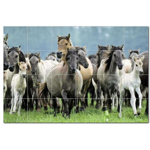 Horse Photo Ceramic Tile Mural Kitchen Backsplash Bathroom Shower, 405256-L64