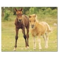 thumbnail image 1 of Horse Photo Ceramic Tile Mural Kitchen Backsplash Bathroom Shower, 405265-M54, 1 of 3
