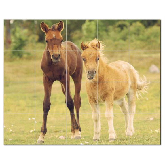 Horse Photo Ceramic Tile Mural Kitchen Backsplash Bathroom Shower, 405265-M54