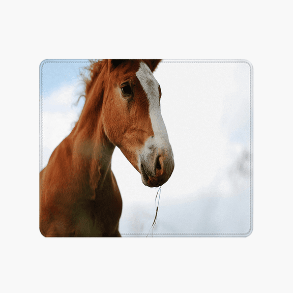 Horse Photo Mouse Pad 9.44 x 7.87 Inches - Chestnut With White Blaze Design for Desk Use