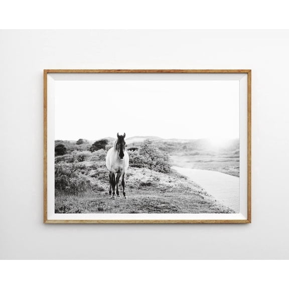 Horse Photography Horizontal Black And White Farmhouse Wall Art Print, Versatile Nature Inspired Theme For Home And Living Room Decor