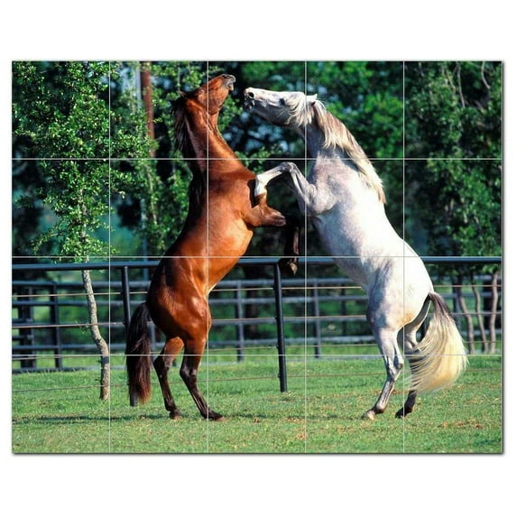 Horse Picture Ceramic Tile Mural Kitchen Backsplash Bathroom Shower, 405286-M54