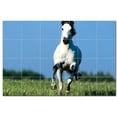 thumbnail image 1 of Horse Picture Ceramic Tile Mural Kitchen Backsplash Bathroom Shower, 405291-L64, 1 of 3