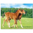 thumbnail image 1 of Horse Picture Ceramic Tile Mural Kitchen Backsplash Bathroom Shower, 405295-XL54, 1 of 3