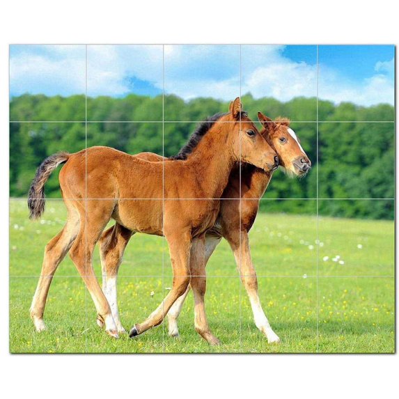 Horse Picture Ceramic Tile Mural Kitchen Backsplash Bathroom Shower, 405295-XL54