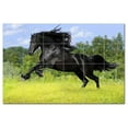 thumbnail image 1 of Horse Picture Ceramic Tile Mural Kitchen Backsplash Bathroom Shower, 405301-L64, 1 of 3
