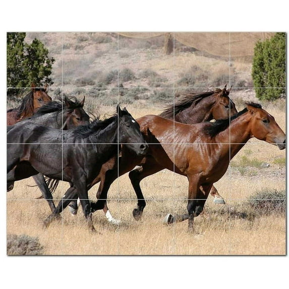 Horse Picture Ceramic Tile Mural Kitchen Backsplash Bathroom Shower, 405305-XL54
