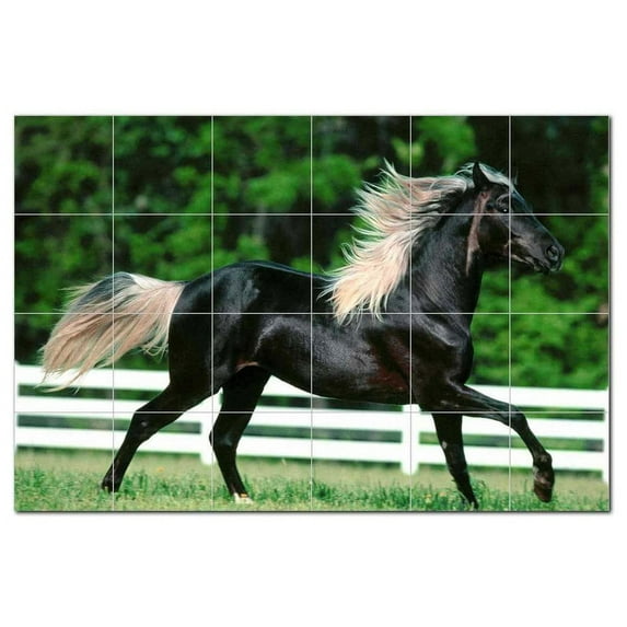 Horse Picture Ceramic Tile Mural Kitchen Backsplash Bathroom Shower, 405313-S64