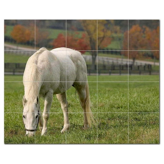 Horse Picture Ceramic Tile Mural Kitchen Backsplash Bathroom Shower, 405316-L54